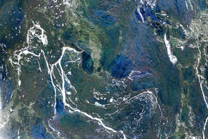 Farbenvielfalt