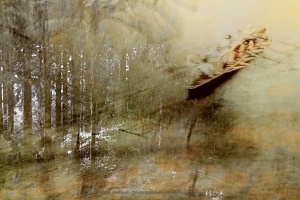 Waldsee