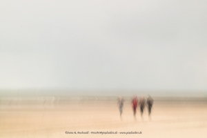 Strandläufer