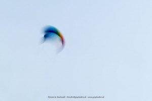 Windspiel